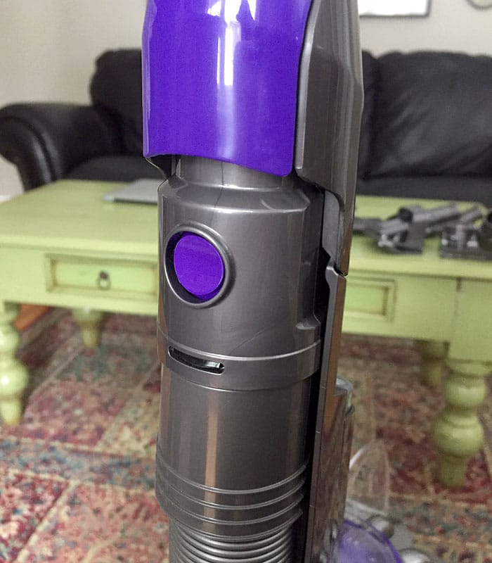 Test driving the Dyson Ball Animal 2 Vacuum with help from my Noble