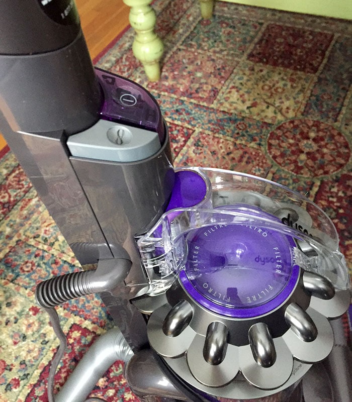 Test driving the Dyson Ball Animal 2 Vacuum with help from my Noble